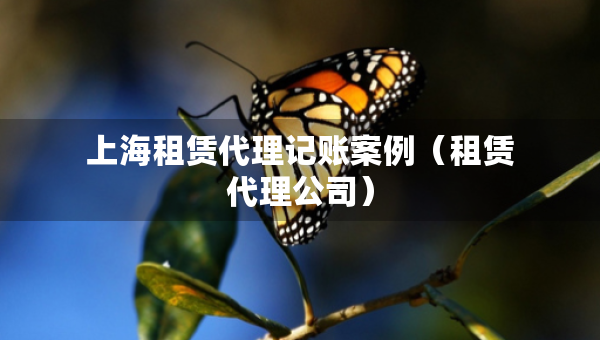 上海租賃代理記賬案例（租賃代理公司）