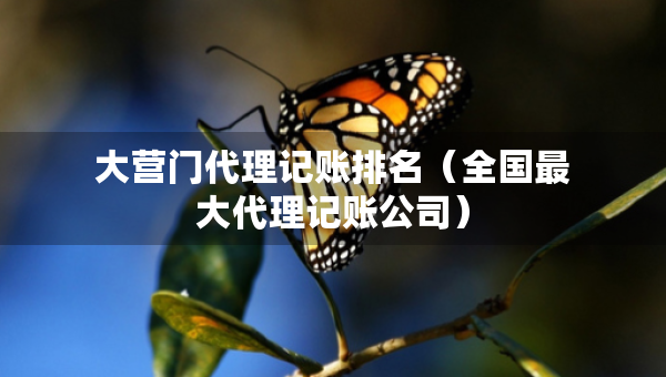 大營門代理記賬排名（全國最大代理記賬公司）