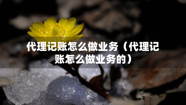 代理記賬怎么做業(yè)務(wù)（代理記賬怎么做業(yè)務(wù)的）