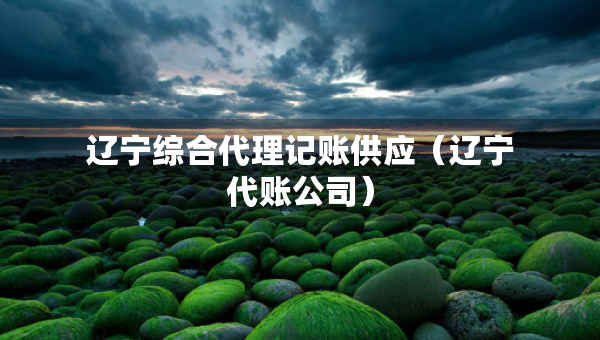 遼寧綜合代理記賬供應(yīng)（遼寧代賬公司）