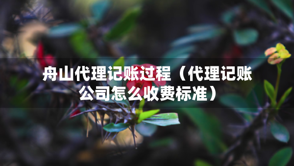 舟山代理記賬過程（代理記賬公司怎么收費(fèi)標(biāo)準(zhǔn)）