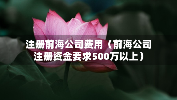 注冊(cè)前海公司費(fèi)用（前海公司注冊(cè)資金要求500萬(wàn)以上）