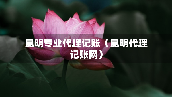 昆明專業(yè)代理記賬（昆明代理記賬網(wǎng)）