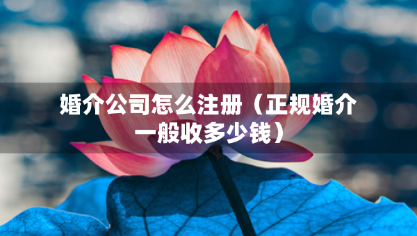 婚介公司怎么注冊（正規(guī)婚介一般收多少錢）