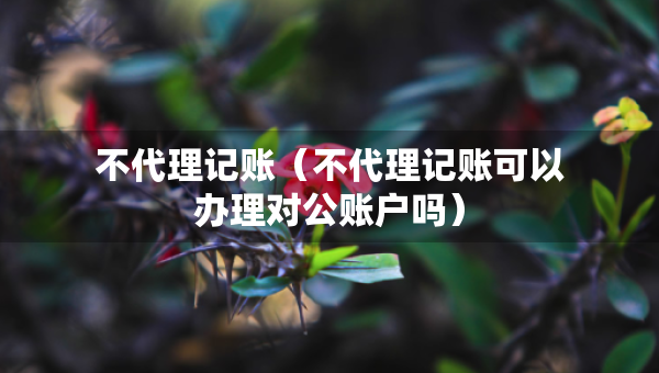 不代理記賬（不代理記賬可以辦理對(duì)公賬戶嗎）