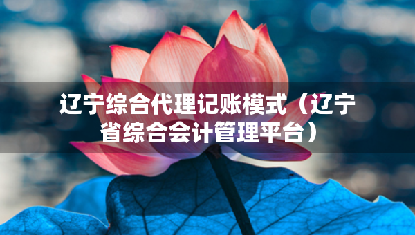 遼寧綜合代理記賬模式（遼寧省綜合會計管理平臺）