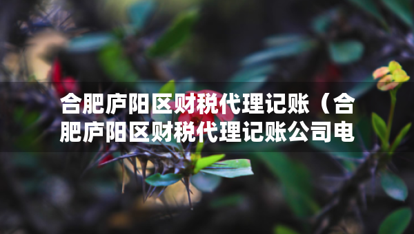 合肥廬陽區(qū)財(cái)稅代理記賬（合肥廬陽區(qū)財(cái)稅代理記賬公司電話）