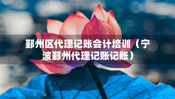 鄞州區(qū)代理記賬會(huì)計(jì)培訓(xùn)（寧波鄞州代理記賬記賬）