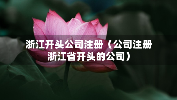 浙江開頭公司注冊(cè)（公司注冊(cè)浙江省開頭的公司）