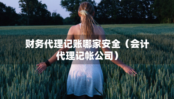 財(cái)務(wù)代理記賬哪家安全（會(huì)計(jì)代理記帳公司）