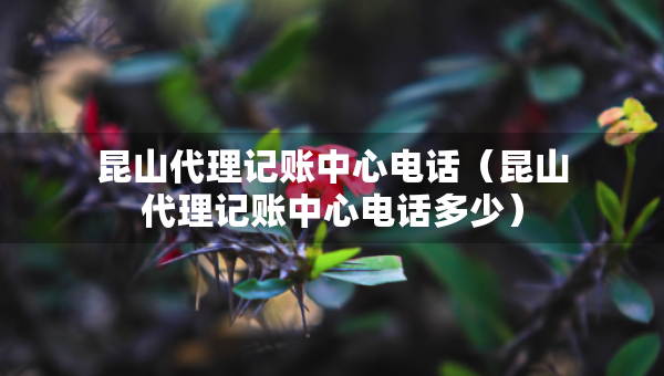 昆山代理記賬中心電話（昆山代理記賬中心電話多少）