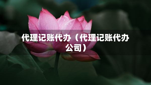 代理記賬代辦（代理記賬代辦公司）