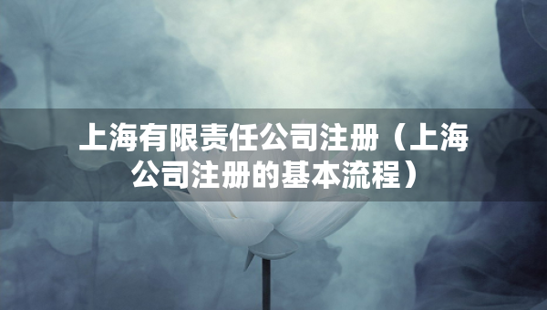 上海有限責(zé)任公司注冊(cè)（上海公司注冊(cè)的基本流程）