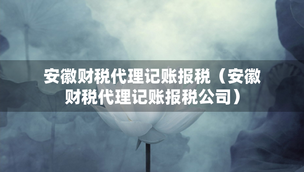 安徽財(cái)稅代理記賬報(bào)稅（安徽財(cái)稅代理記賬報(bào)稅公司）