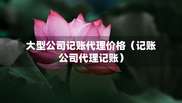 大型公司記賬代理價(jià)格（記賬公司代理記賬）