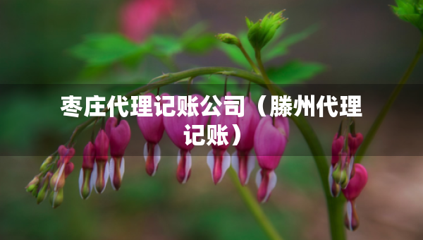 棗莊代理記賬公司（滕州代理記賬）