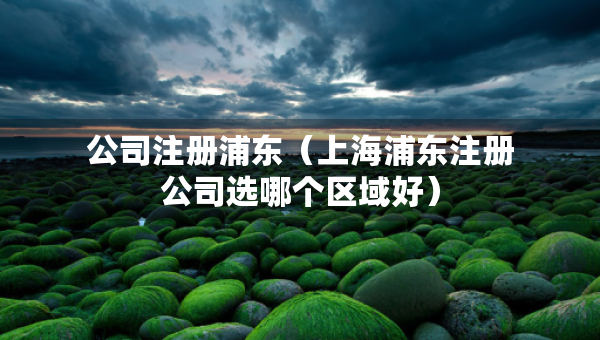 公司注冊(cè)浦東（上海浦東注冊(cè)公司選哪個(gè)區(qū)域好）