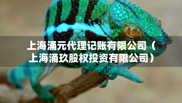 上海涌元代理記賬有限公司（上海涌玖股權(quán)投資有限公司）