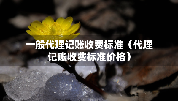 一般代理記賬收費(fèi)標(biāo)準(zhǔn)（代理記賬收費(fèi)標(biāo)準(zhǔn)價(jià)格）