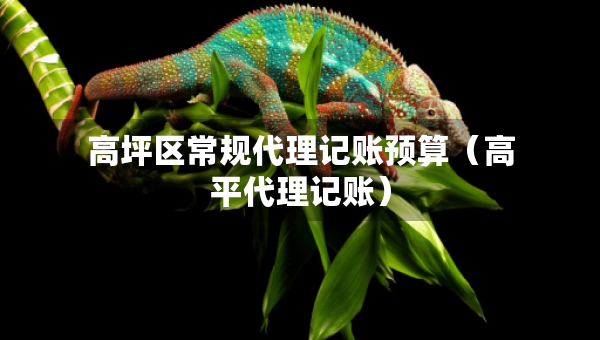 高坪區(qū)常規(guī)代理記賬預(yù)算（高平代理記賬）