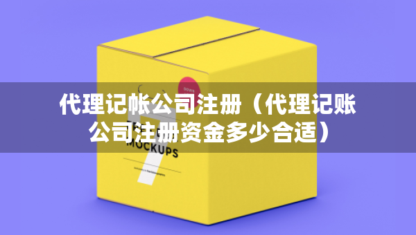 代理記帳公司注冊(cè)（代理記賬公司注冊(cè)資金多少合適）