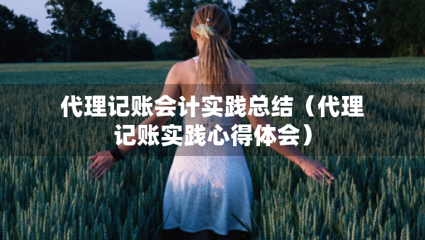 代理記賬會(huì)計(jì)實(shí)踐總結(jié)（代理記賬實(shí)踐心得體會(huì)）