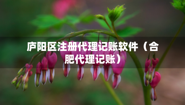 廬陽(yáng)區(qū)注冊(cè)代理記賬軟件（合肥代理記賬）