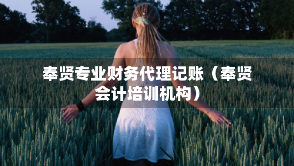 奉賢專業(yè)財(cái)務(wù)代理記賬（奉賢會(huì)計(jì)培訓(xùn)機(jī)構(gòu)）