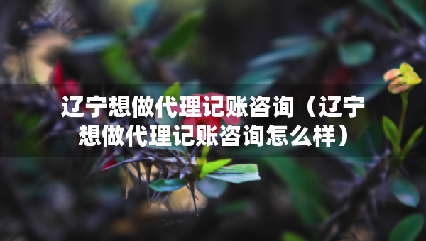 遼寧想做代理記賬咨詢（遼寧想做代理記賬咨詢?cè)趺礃樱? title=