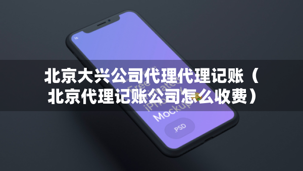 北京大興公司代理代理記賬（北京代理記賬公司怎么收費(fèi)）