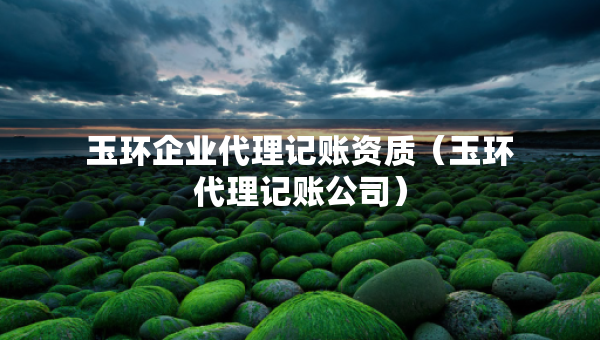 玉環(huán)企業(yè)代理記賬資質(zhì)（玉環(huán)代理記賬公司）