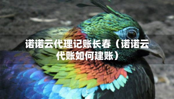 諾諾云代理記賬長(zhǎng)春（諾諾云代賬如何建賬）