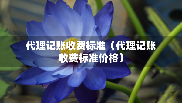 代理記賬收費標(biāo)準(zhǔn)（代理記賬收費標(biāo)準(zhǔn)價格）