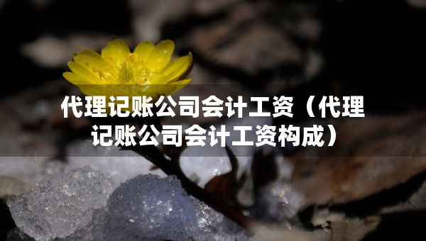 代理記賬公司會(huì)計(jì)工資（代理記賬公司會(huì)計(jì)工資構(gòu)成）