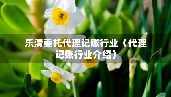 樂清委托代理記賬行業(yè)（代理記賬行業(yè)介紹）