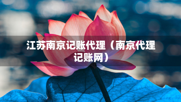 江蘇南京記賬代理（南京代理記賬網(wǎng)）