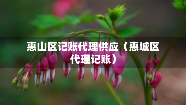 惠山區(qū)記賬代理供應(yīng)（惠城區(qū)代理記賬）