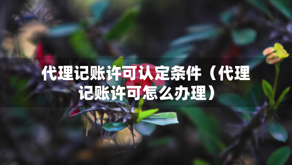 代理記賬許可認(rèn)定條件（代理記賬許可怎么辦理）