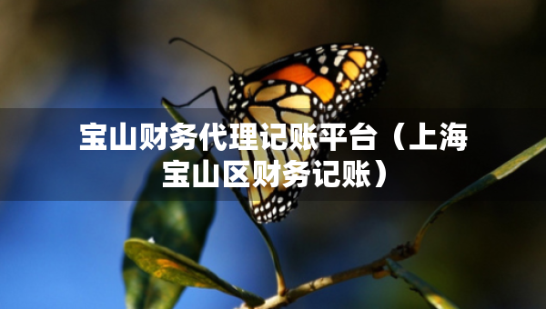 寶山財(cái)務(wù)代理記賬平臺(tái)（上海寶山區(qū)財(cái)務(wù)記賬）