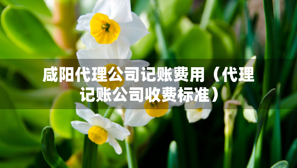 咸陽代理公司記賬費用（代理記賬公司收費標(biāo)準(zhǔn)）