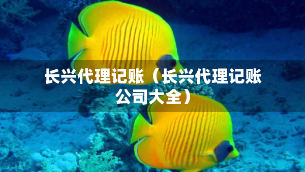 長興代理記賬（長興代理記賬公司大全）