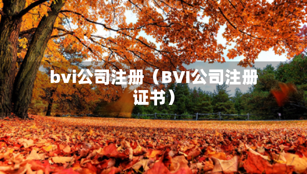 bvi公司注冊（BVI公司注冊證書）