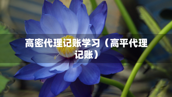 高密代理記賬學(xué)習(xí)（高平代理記賬）