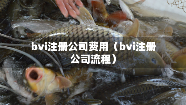 bvi注冊(cè)公司費(fèi)用（bvi注冊(cè)公司流程）