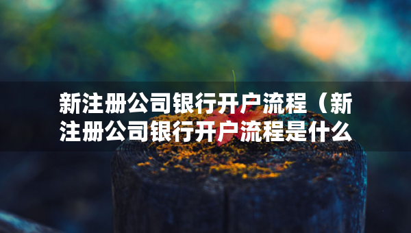 新注冊(cè)公司銀行開戶流程（新注冊(cè)公司銀行開戶流程是什么）