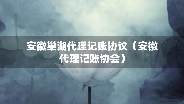 安徽巢湖代理記賬協(xié)議（安徽代理記賬協(xié)會(huì)）