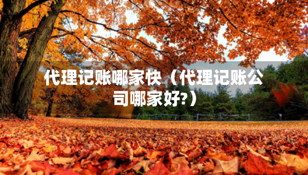 代理記賬哪家快（代理記賬公司哪家好?）