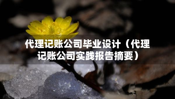 代理記賬公司畢業(yè)設(shè)計(jì)（代理記賬公司實(shí)踐報(bào)告摘要）