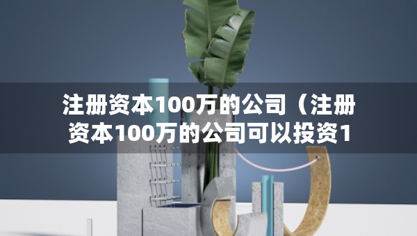 注冊資本100萬的公司（注冊資本100萬的公司可以投資1000萬的公司嗎）