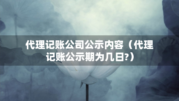 代理記賬公司公示內容（代理記賬公示期為幾日?）